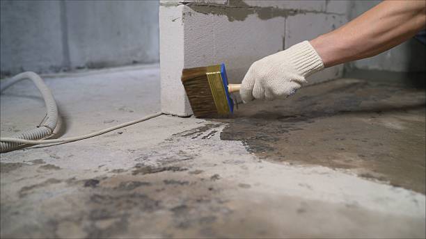SJ Waterproofing Pros Waterproofing coverage map for Saint Joe, IN and surrounding area